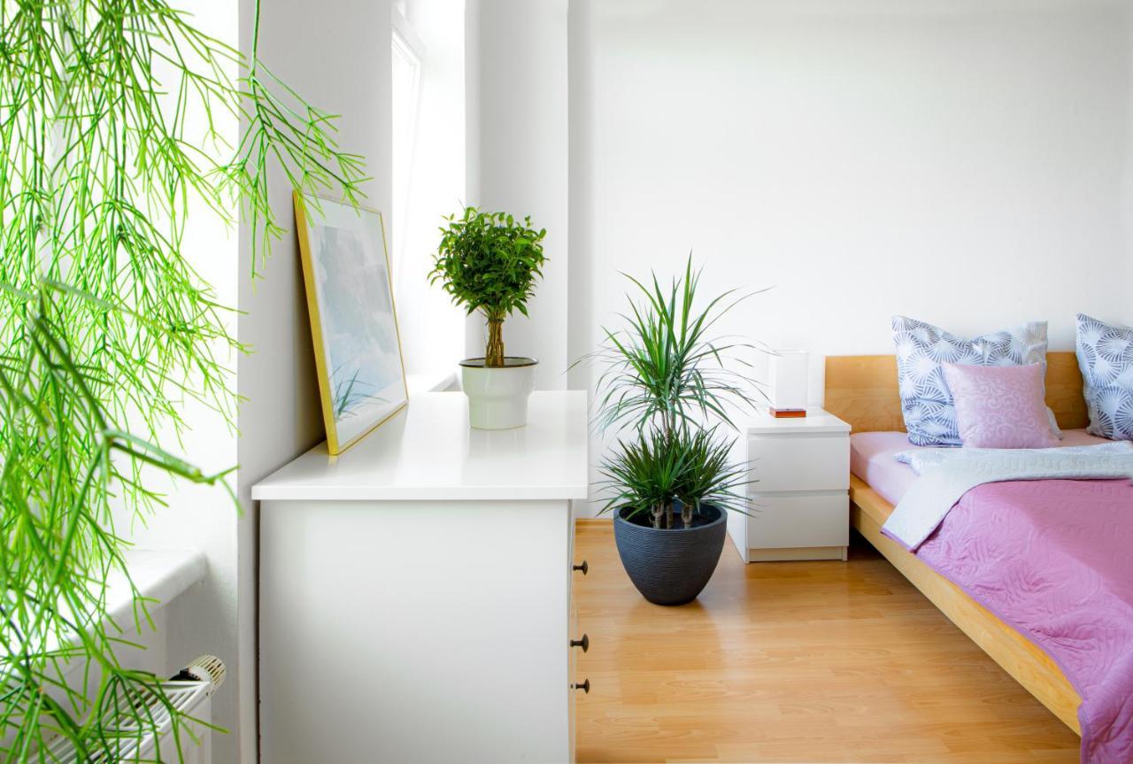 5 Min Zur Elbe, Helle Geraeumige 2-Raum-Whg, Neustadt, Top Lage Dresde Exterior foto
